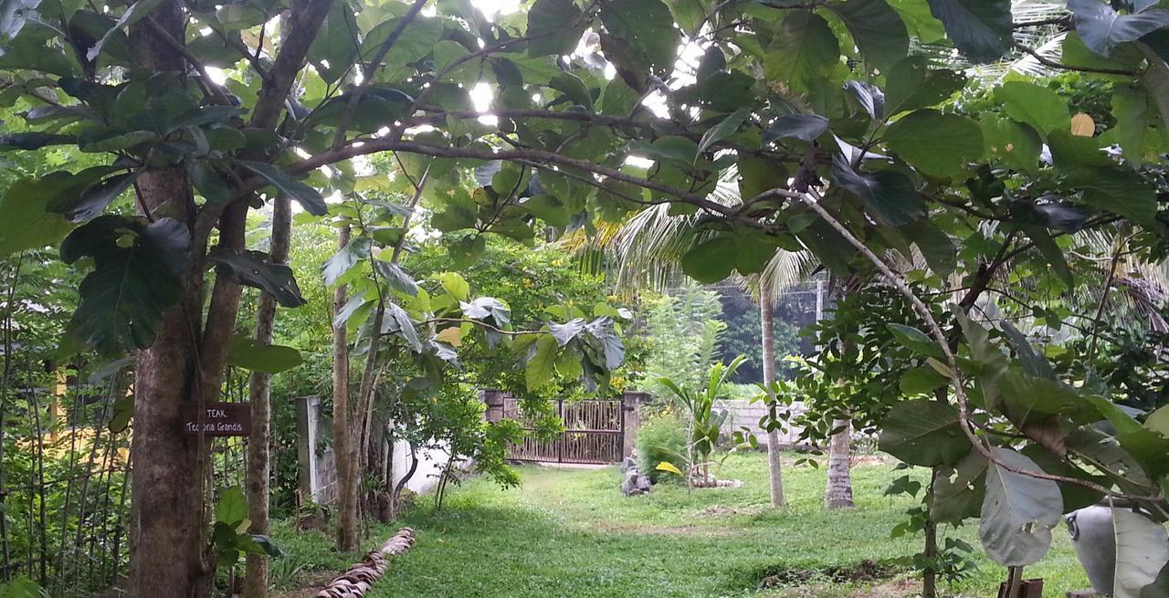 Villa Cinnamon Hills Galle Dış mekan fotoğraf